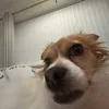 olaf.the.toe