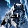 mohamed.sghir34