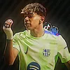hama_ftbl40