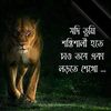 md..forhad414