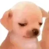fkdjdjslcjdj