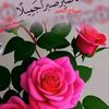 user3909612010240