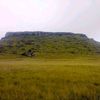 nkumbuzo75297