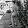 silvazxs.x