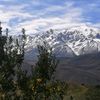 baharebahare276