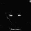 shakimaro_the_destroyer