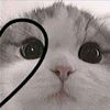 user170912878