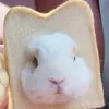 mamarhuhu