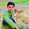 shair.ali.lashari8