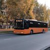автобусы павлодар🚌