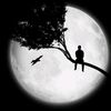 user12192880475200