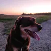 eth_rox