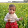 mysha1790