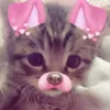 danyasiegertsz