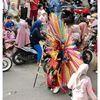 zdd34nn.03