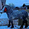 parny53