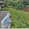 myiin_74