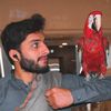 m.waseembadami786