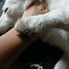 kittey223