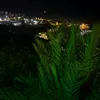 mohamed_10205