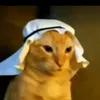 malikchoudhry1