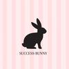 successbunnyy