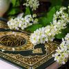 alimansour6017