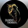 diamend.tborida