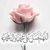 tanveer.haider848