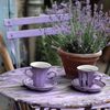 lavanda0905