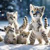 bluey123.aalf