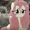 iiczi0