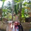 darwisaasmarin