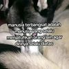 gagal_ngising