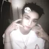 dovex_morcegox