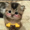 anh.th_u191213