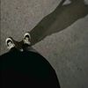 mohammadfirdaus880