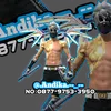 andika.andika3661