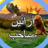 firboyisbrandofpunjabiok