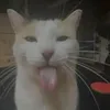 its_charley12