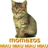 mr.miau_miau_momazos