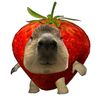 user..ajj