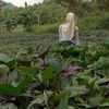 aisyah.aisyah4803