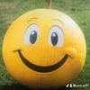 funnything323