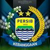 We Are Persib