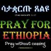 birukassefa763