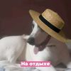 www.tiktok.belka.0