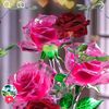 user7511376093499