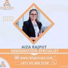 aizawizardimmigration