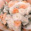 menna.abd.alaziz0